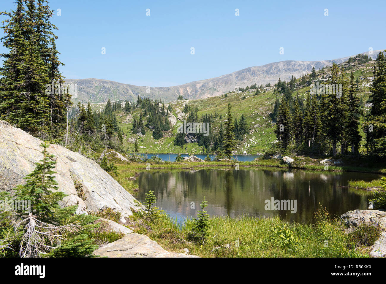 Sommer Alpine Wiesen an der Spitze der Trophy Mountain im Wells Gray Provincial Park, British Columbia, Kanada Stockfoto