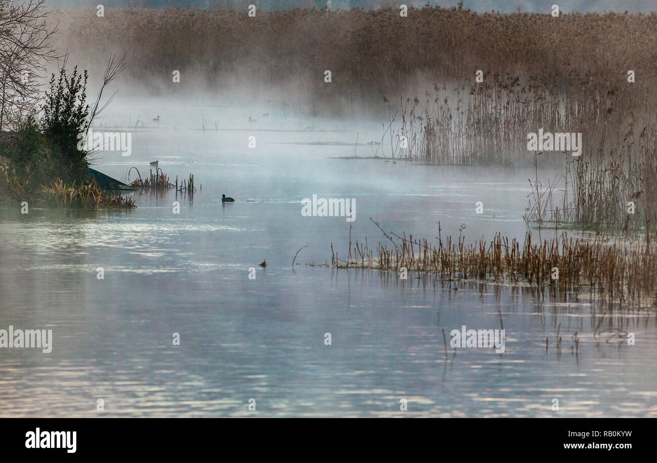 Nebel an den Quellen des Flusses Pescara. Popoli, Provinz Pescara, Abruzzen, Italien, Europa Stockfoto