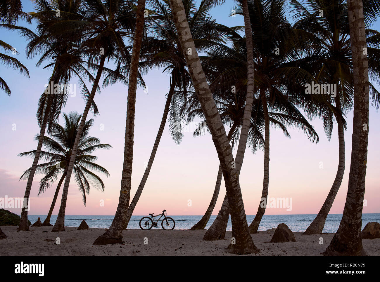 Silhouette Blick auf Palmen und Bike bei Sonnenuntergang am Strand von San Andrés, Kolumbien. Urlaub/ Reisen Konzept. Okt 2018 Stockfoto