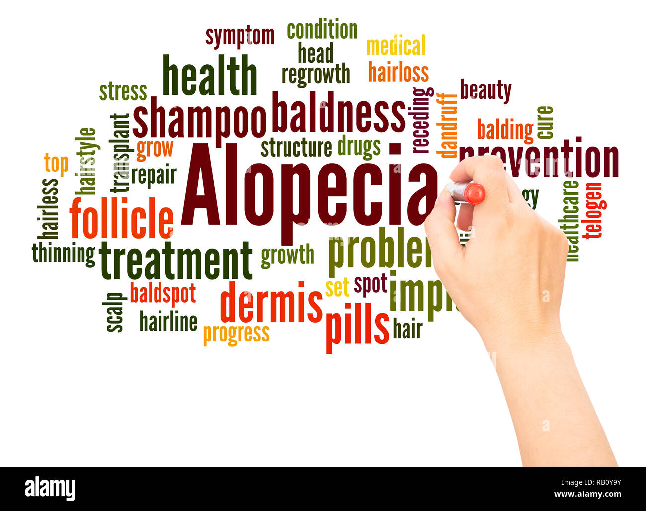 Alopezie Wort cloud hand Konzept Schrift auf weißen Hintergrund. Stockfoto