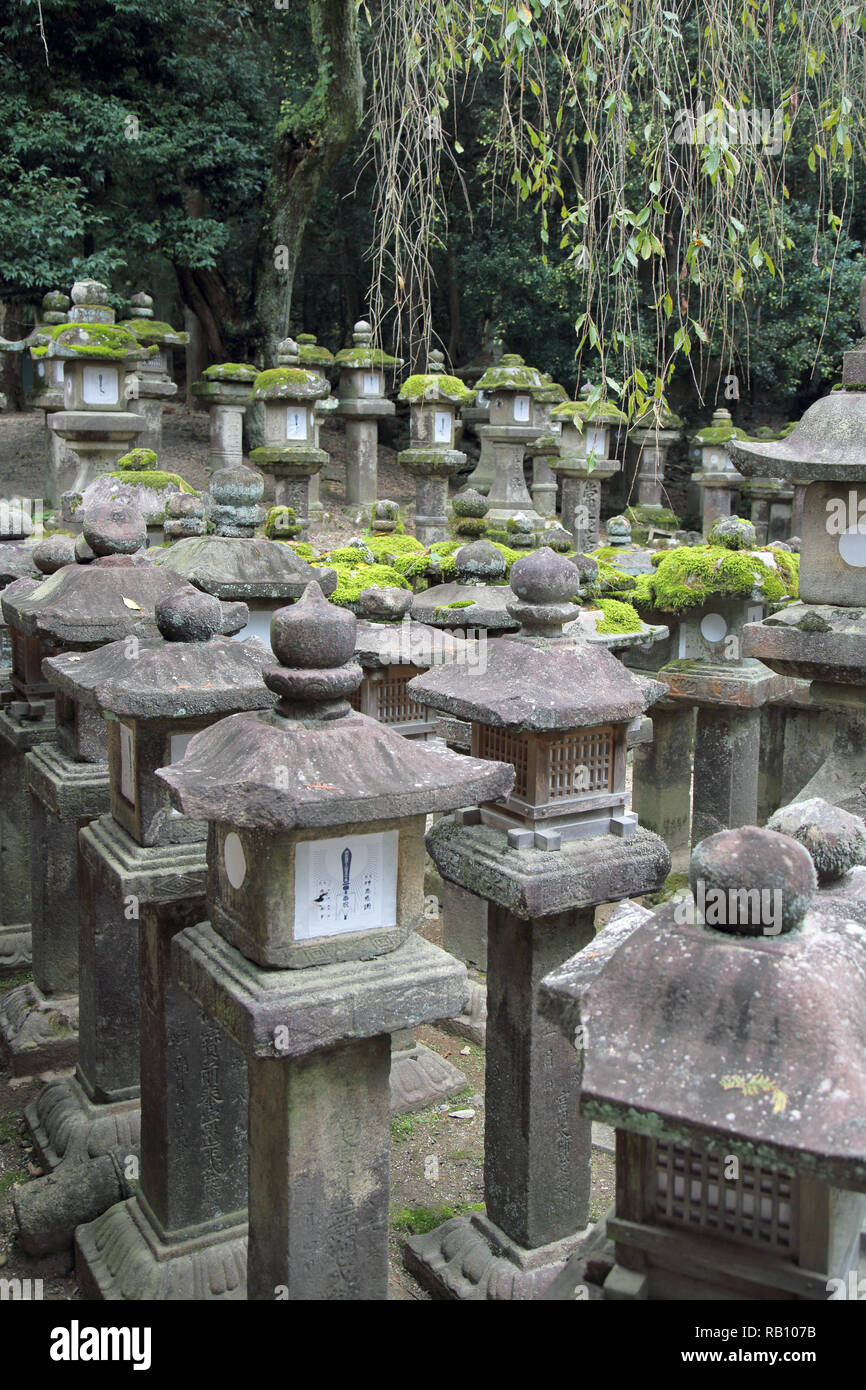 Einige der 3000 Laternen an der kasuga taishi Schrein in Tokio Japan Stockfoto