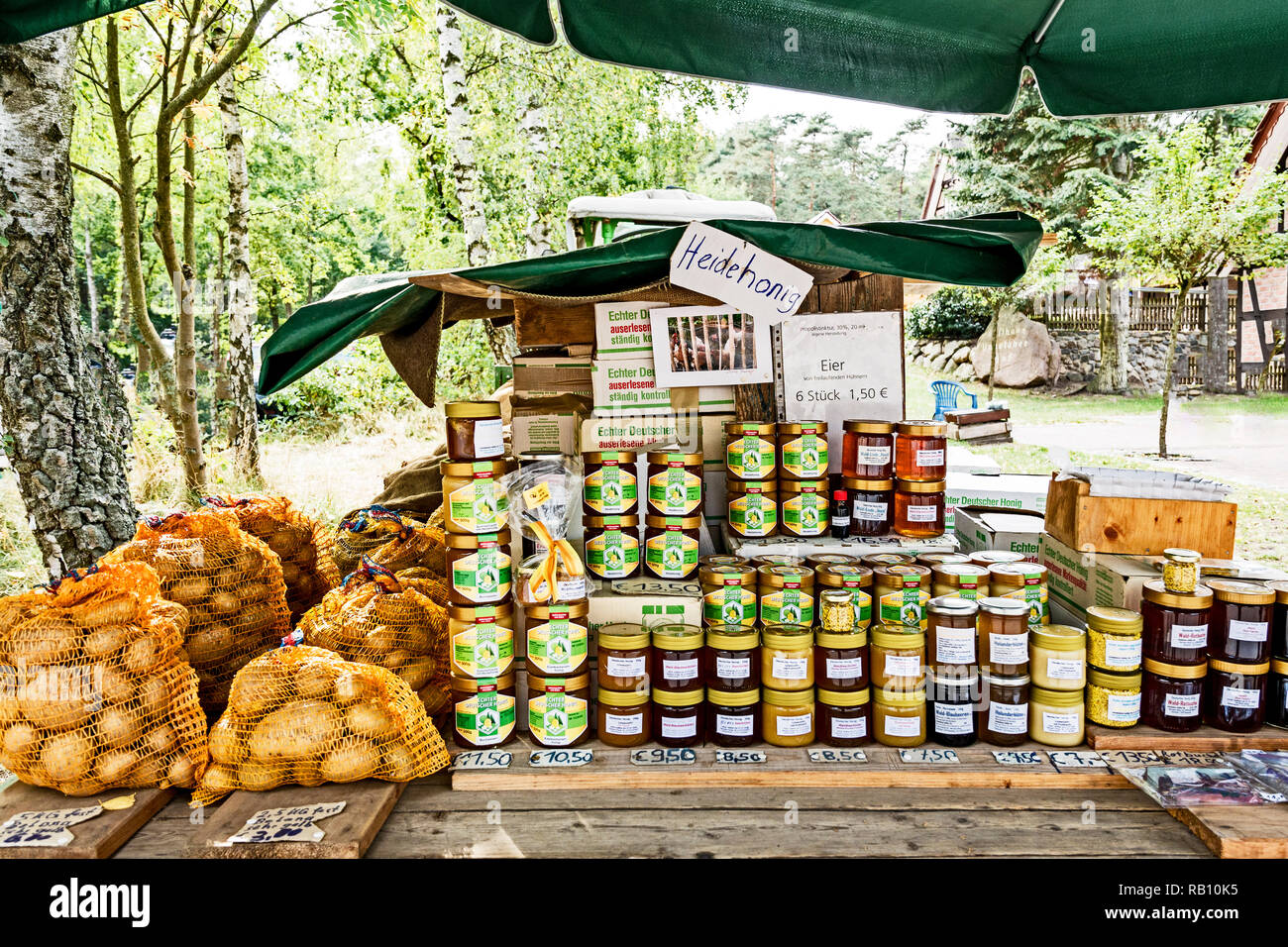 Lüneburger Heide (Niedersachsen), Lüneburger Heide (Niedersachsen Stockfoto