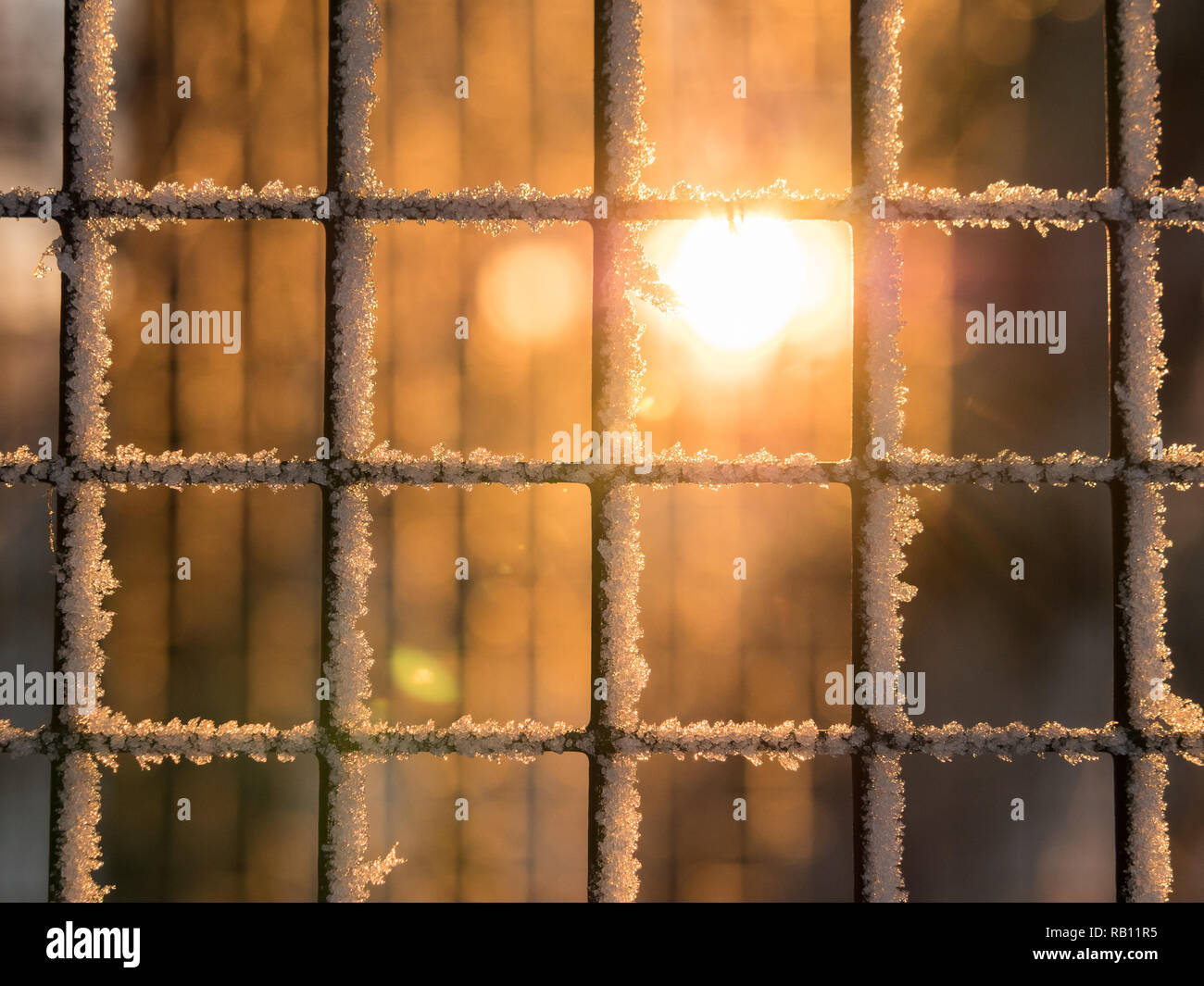 Sonne hinter frosty Bügeleisen net Fechten mit Eiskristallen. Stockfoto