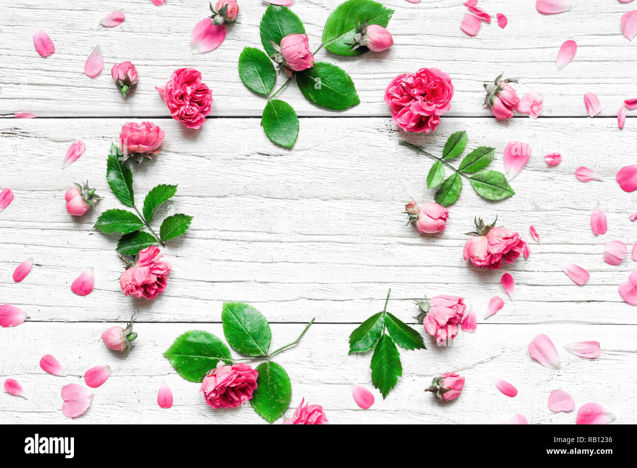 Blumen Komposition. Rahmen aus Frische rose Blumen auf weißem Holz- Hintergrund. Flach. Mock up. Ansicht von oben mit der Kopie Raum Stockfoto
