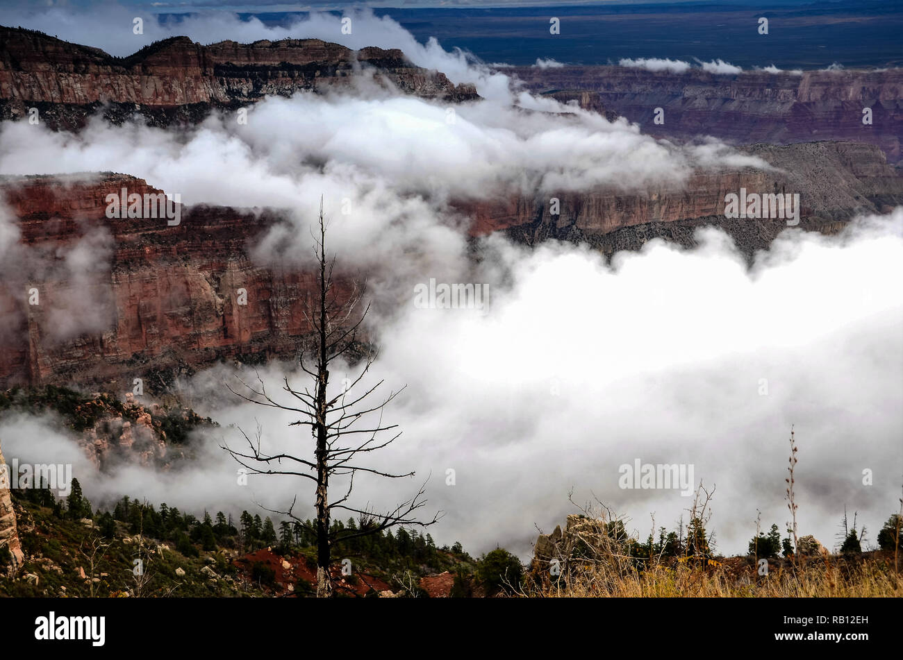 Einen herrlichen Blick auf die North Rim des Grand Canyon, Arizona. Stockfoto