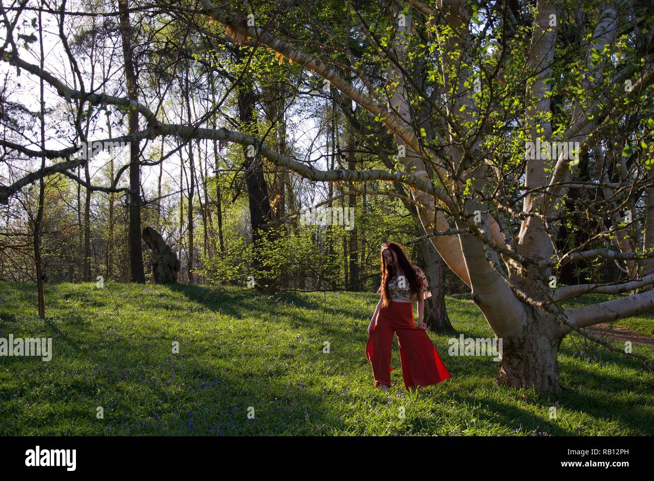 Langhaarige junge Dame Tänze im modischen rot Schlaghosen in einem englischen Wald während des Abends Stockfoto