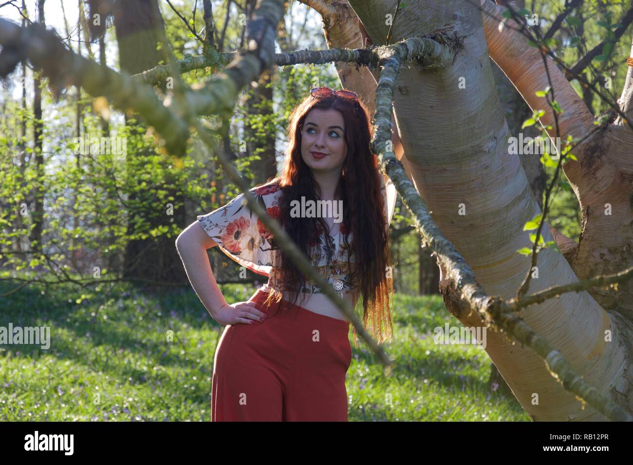 Eine junge Dame mit langen brünetten Haaren und modern in Rot Schlaghosen bekleidet lehnt sich gegen einen silbernen Birke in einem englischen Wälder im Frühjahr Stockfoto
