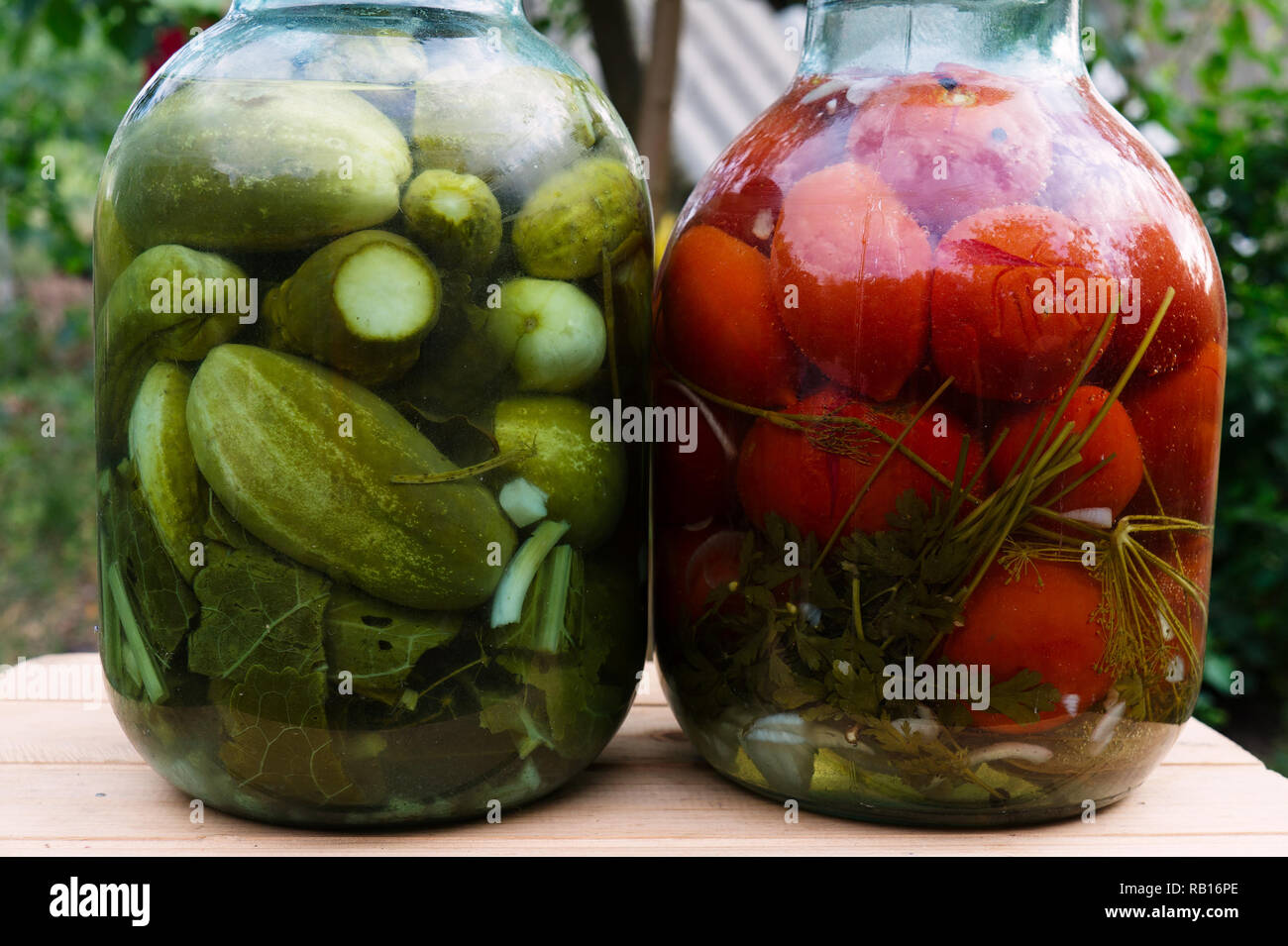 Hausgemachte Konserven Tomaten und Gurken im Glas Stockfoto