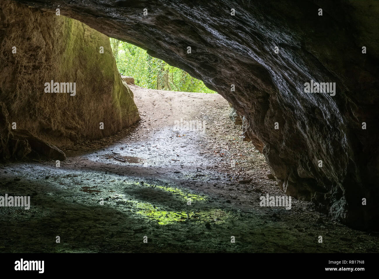 Blick außerhalb einer dunklen Höhle in die grüne Landschaft Stockfoto