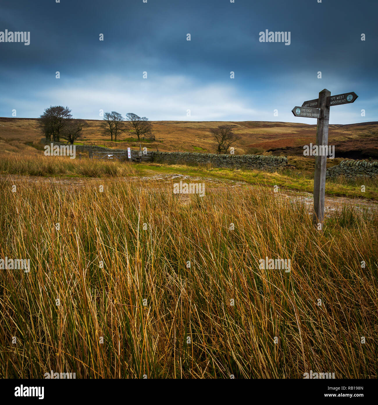 Heide direkt an der A 628 Woodhead Pass Stockfoto