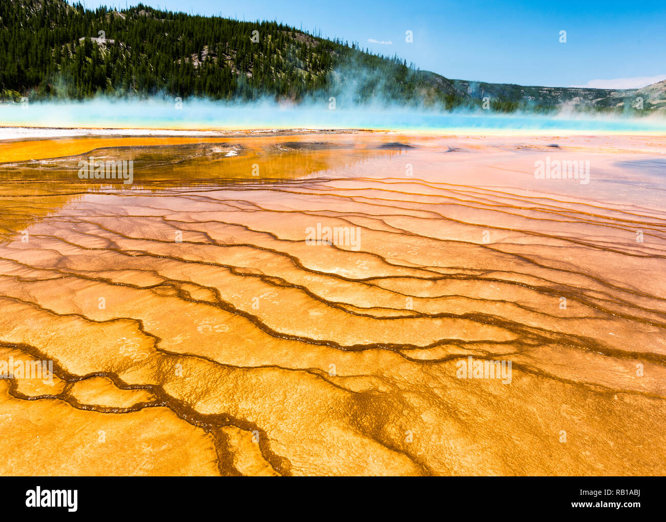 See in Yellowstone National Park mit blauem Himmel und Sonne Stockfoto