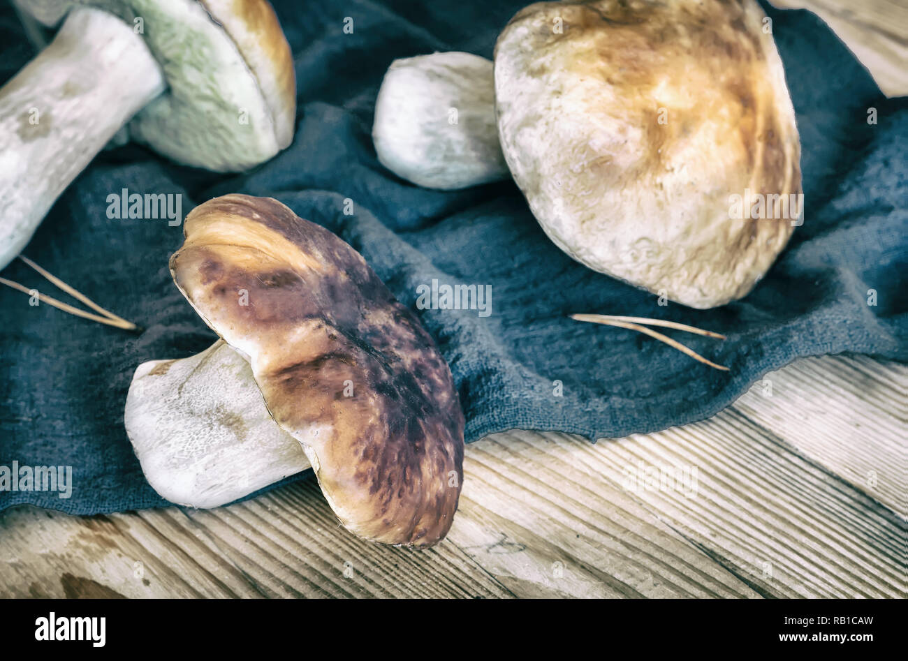 Pilze Steinpilze auf dem Tisch auf eine Serviette. Stockfoto