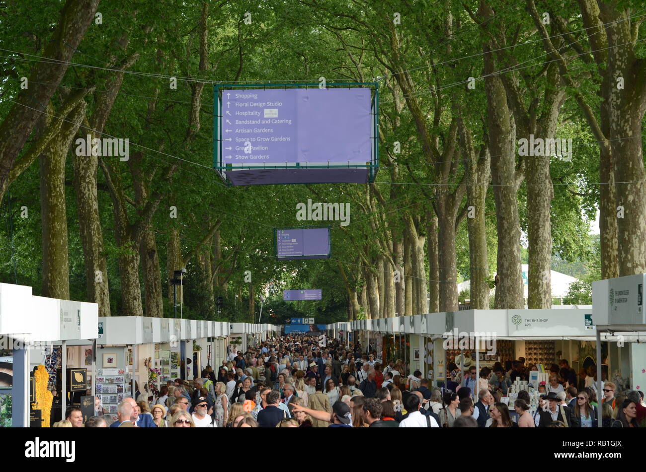 2018 RHS Chelsea Garten Show Stockfoto