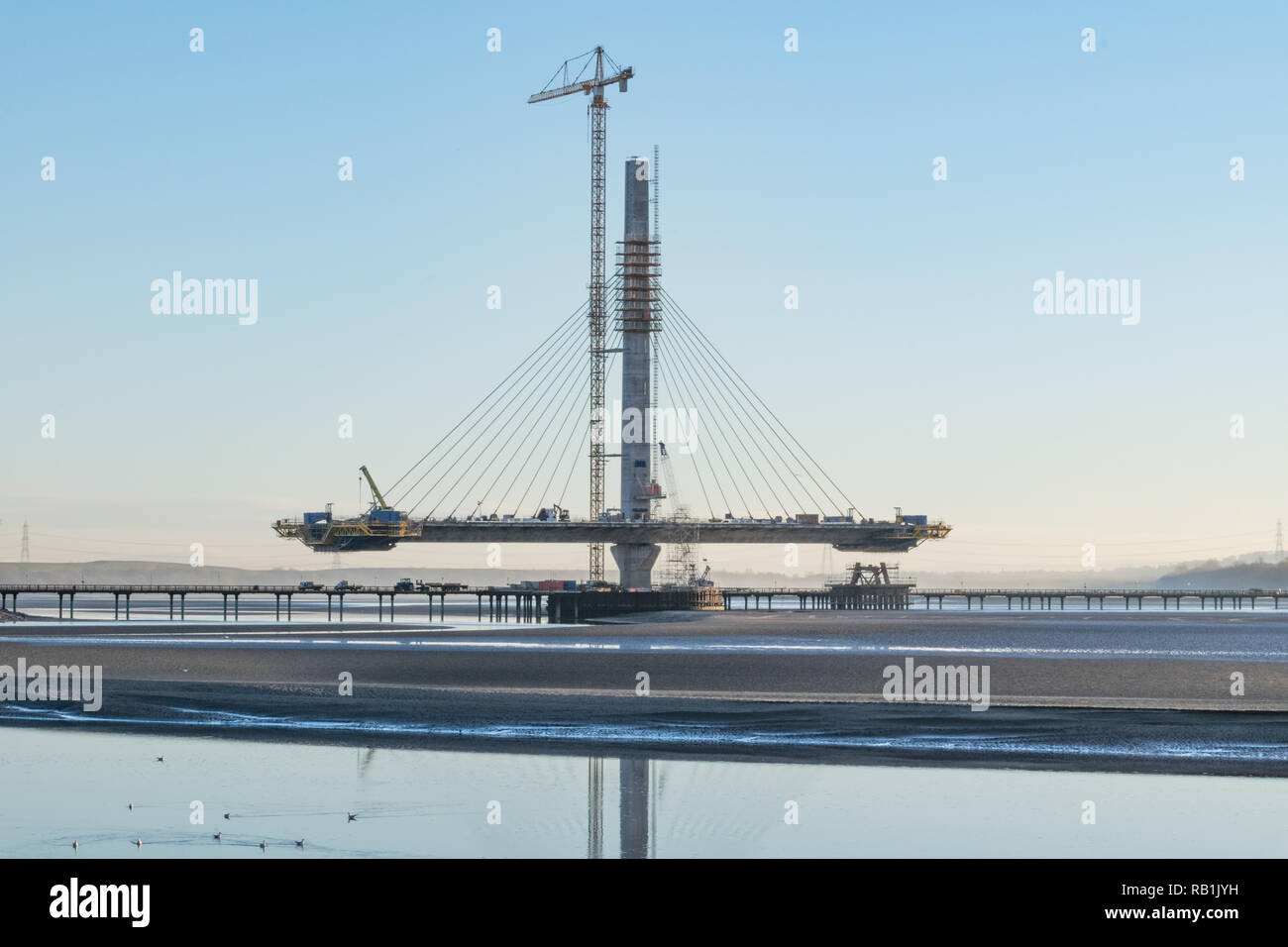 Bauabschnitt der 600 Millionen Pfund Mersey Gateway Bridge im Januar 2017 vor seiner Eröffnung im Oktober 2017. Eine Schrägseilbrücke Stockfoto