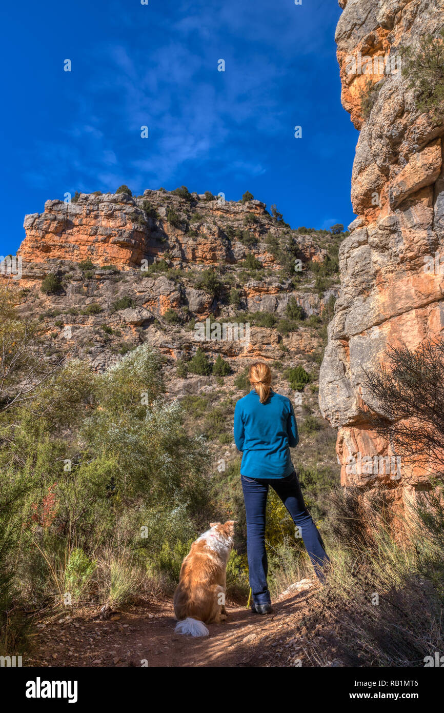 Blonde Frau mit ihrem blonden Border Collie mix Hund gestoppt über einen Weg in einen Canyon an der Orange, Braun und Grün Canyon Wände und die Br Stockfoto