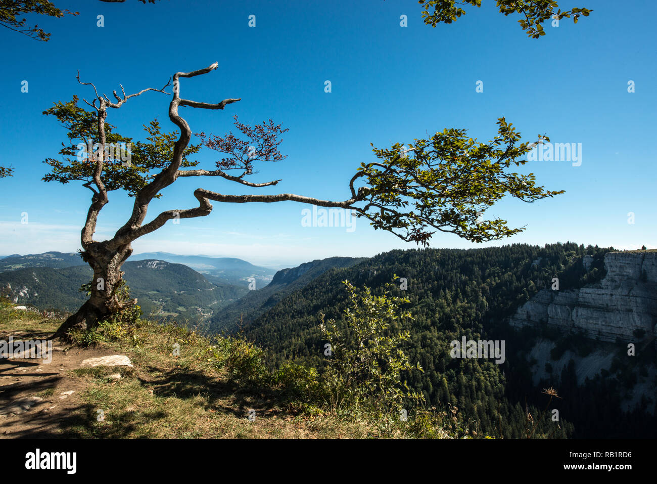 Creux du Van Stockfoto