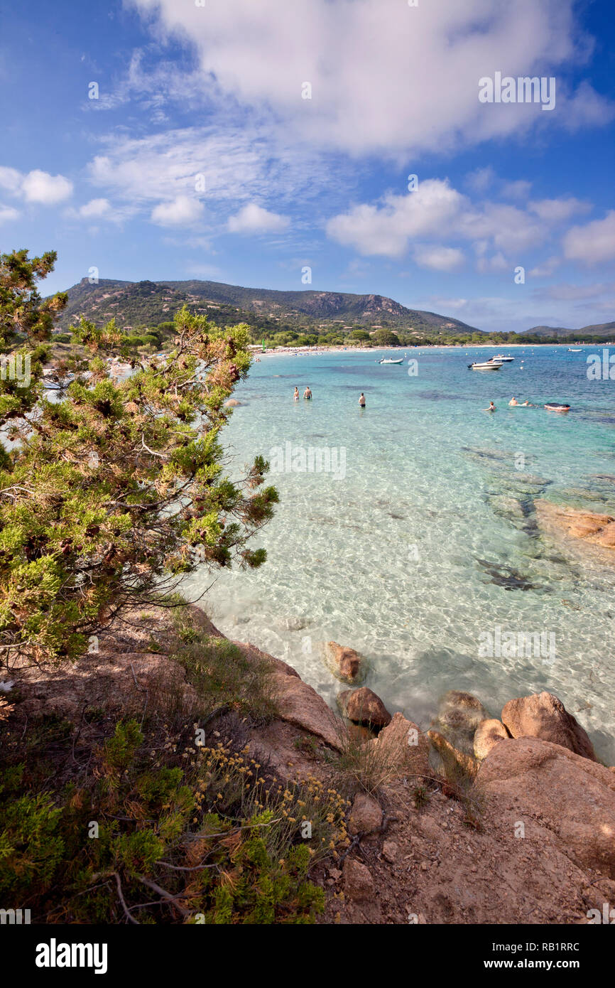 Der berühmte Strand von Palombaggia am süd-östlichen Ende der Insel Korsika mit seinen typischen roten Felsen und türkisblauem Wasser. Stockfoto