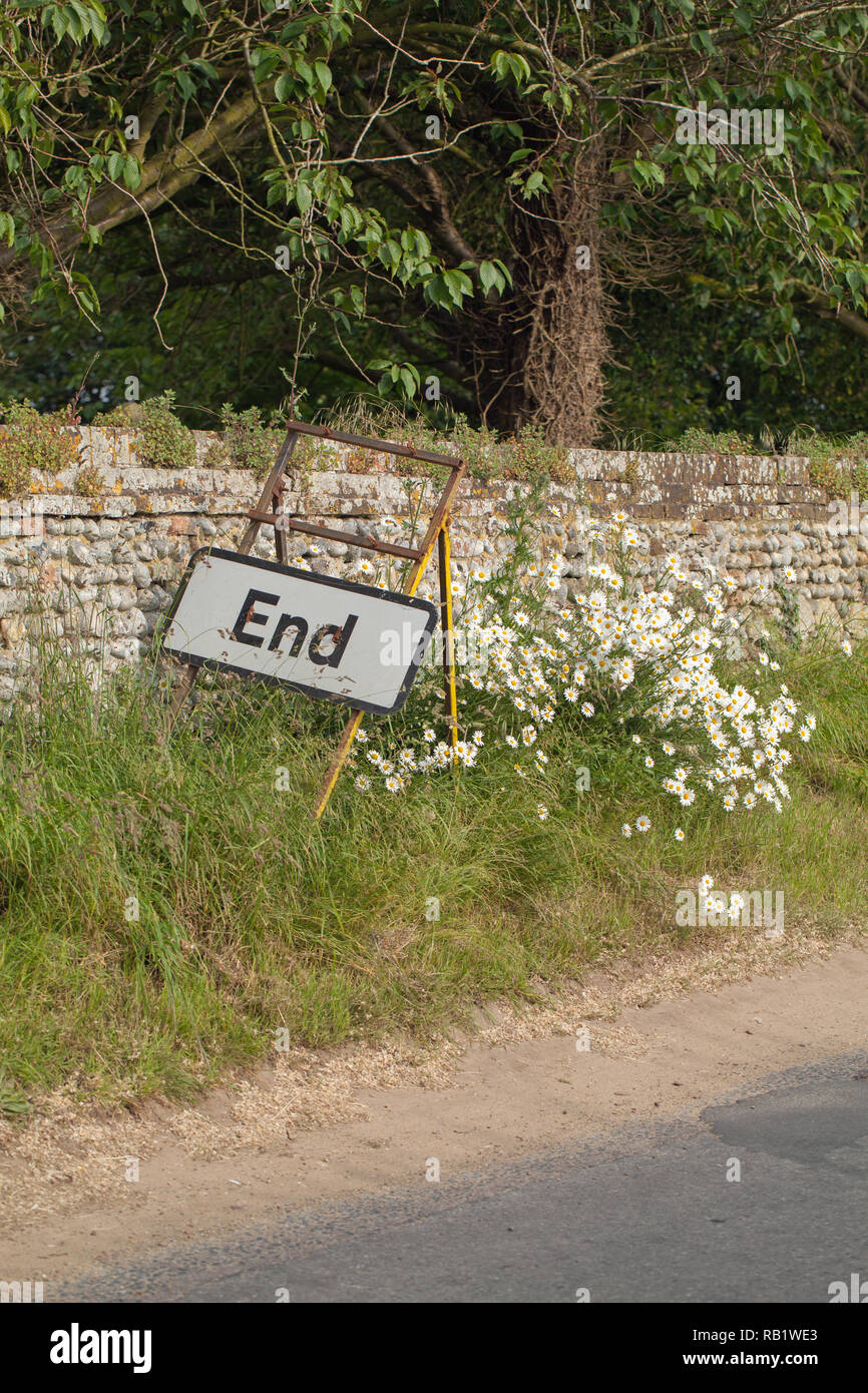 'Ende', Verkehrszeichen, unter einer ländlichen Straße Bank von Ox-eye Margeriten (Leucanthemum vulgare), mit einem Feuerstein Steinmauer Hintergrund. Ingham, Norfolk. East Anglia. England. Das VEREINIGTE KÖNIGREICH. Stockfoto