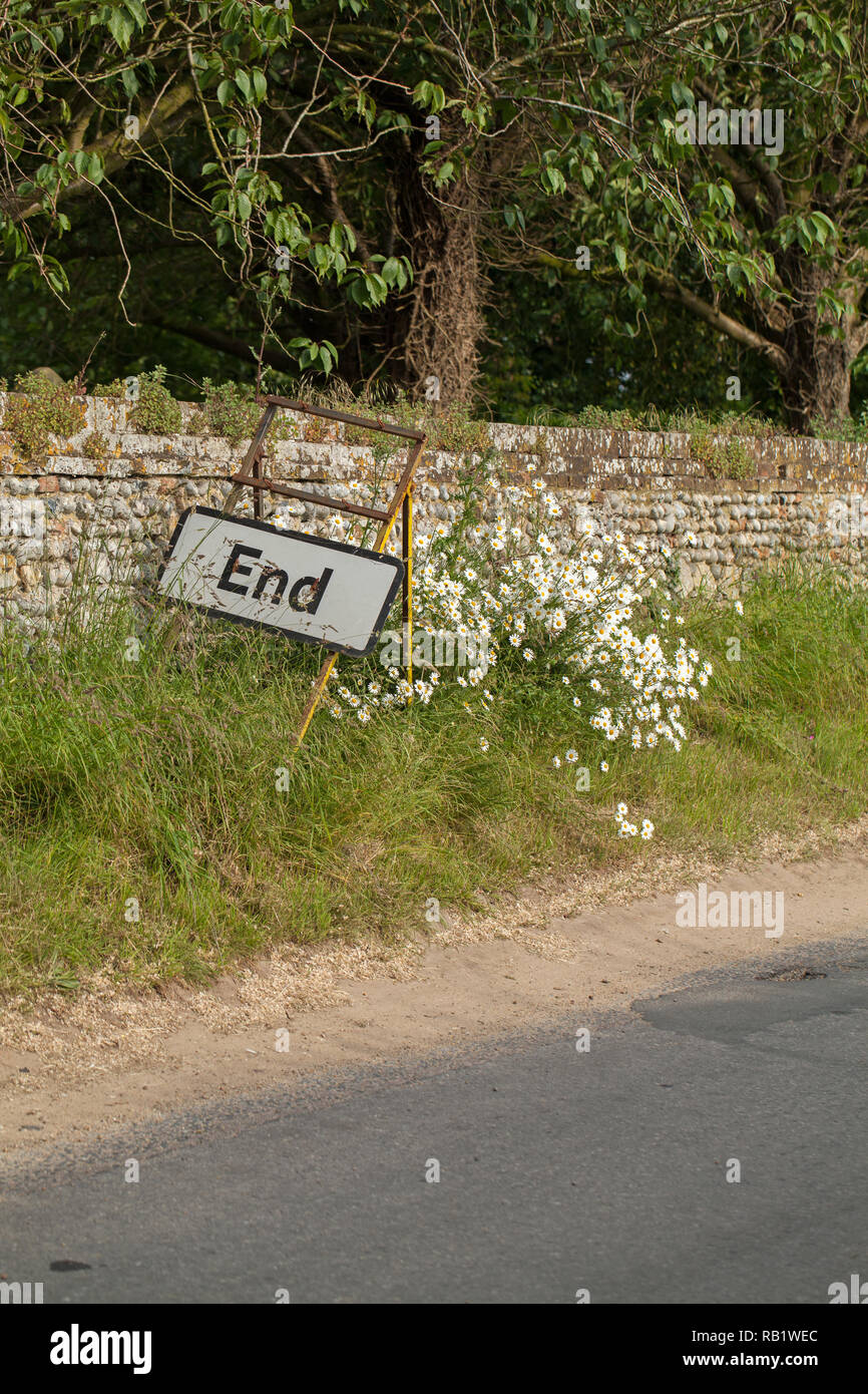 'Ende', Verkehrszeichen, unter einer ländlichen Straße Bank von Ox-eye Margeriten (Leucanthemum vulgare), und mit einem Flint stone wall Hintergrund. Ingham, Norfolk. East Anglia. England. Stockfoto