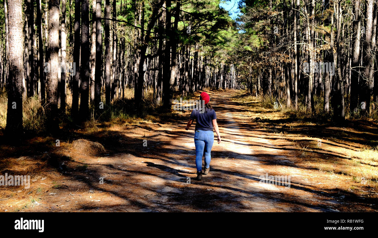 Junge weibliche Wanderer allein zu Fuß auf einer Zufahrtsstraße / Trail in der Sam Houston National Forest in Texas. Stockfoto