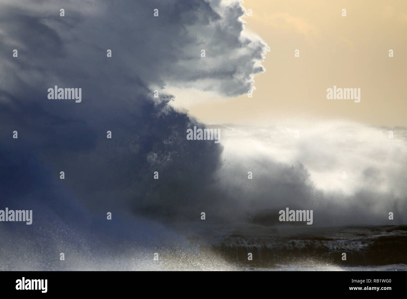 Wellen des Ozeans Stockfoto
