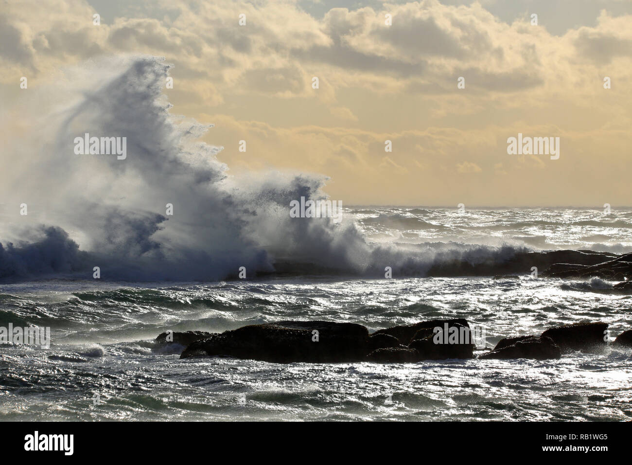 Wellen des Ozeans Stockfoto