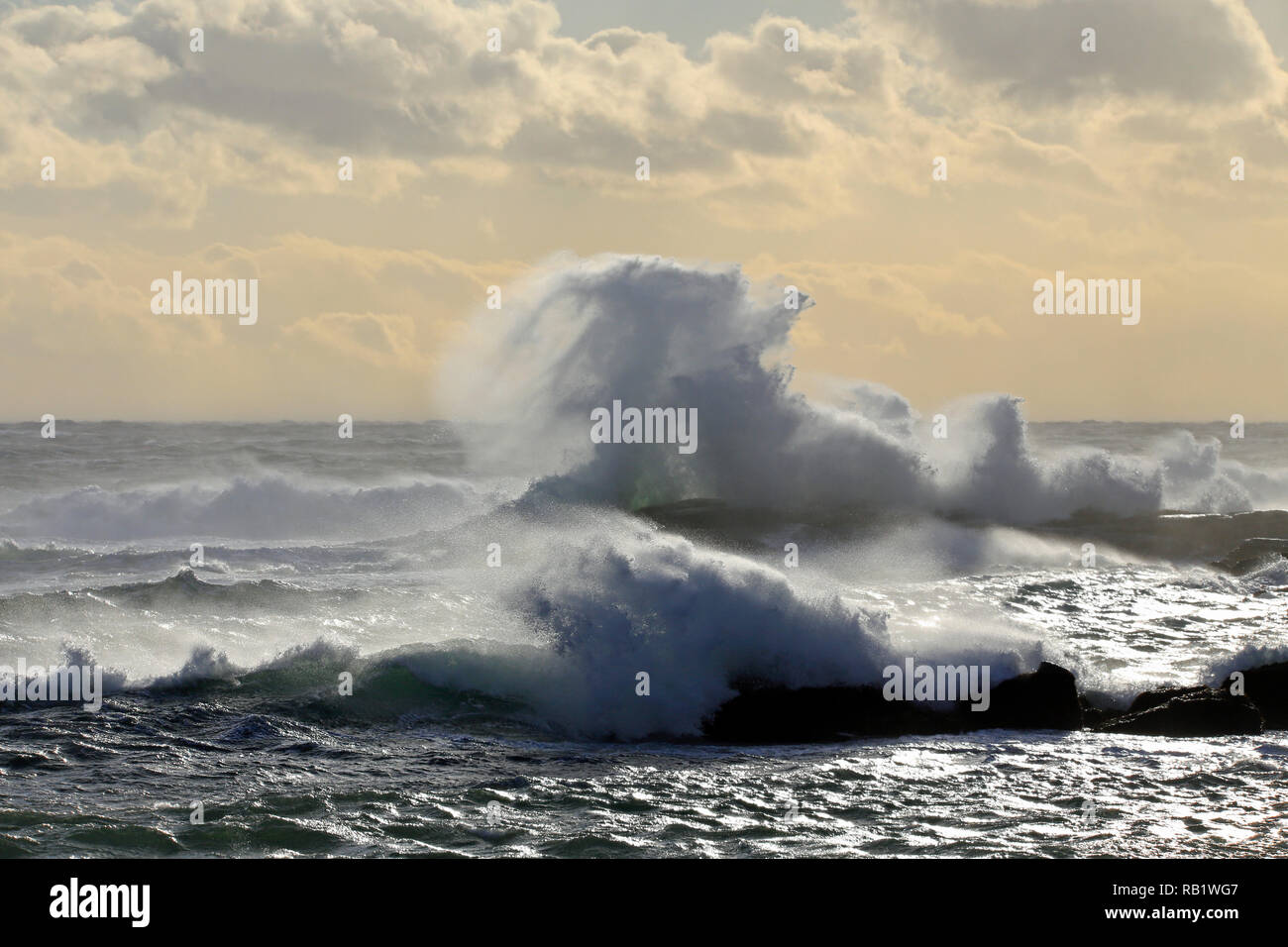Wellen des Ozeans Stockfoto