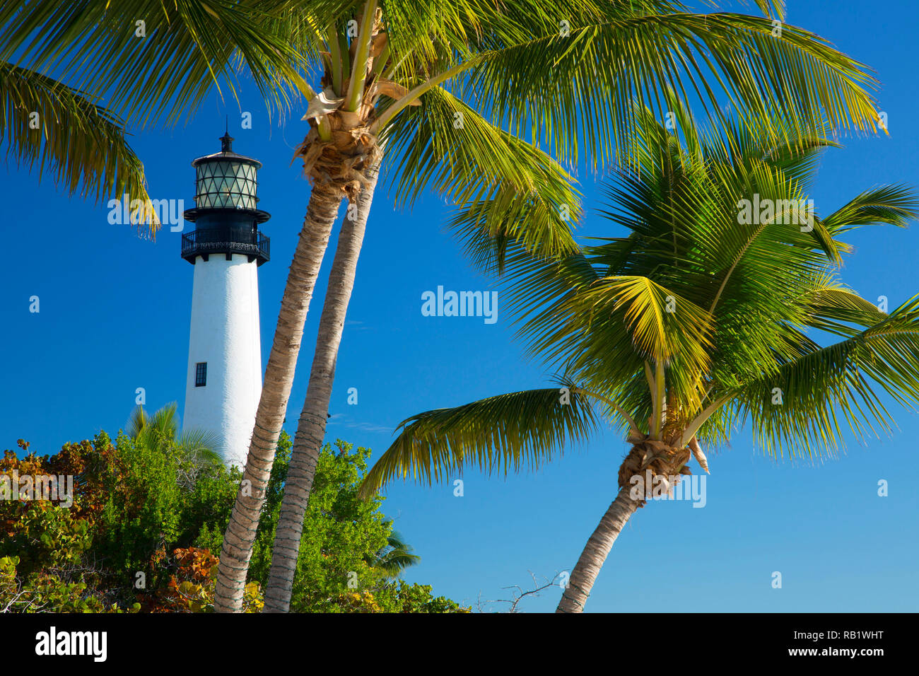 Cape Florida Lighthouse, Bill Baggs Cape Florida State Park, Florida Stockfoto