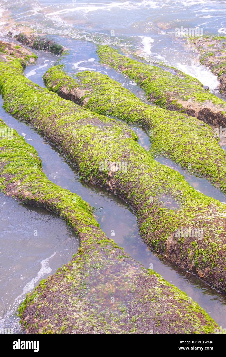 Grüne Riff bei Laomei in Taiwan Stockfoto