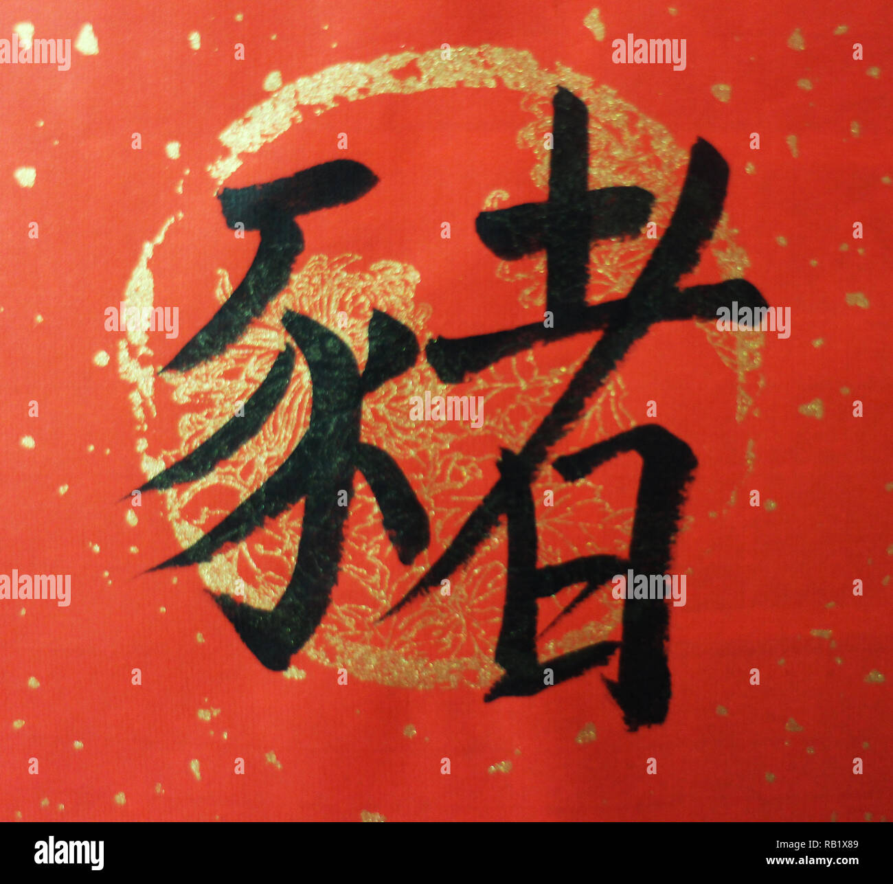 Das chinesische Wort bedeutet 'Pig' Stockfoto