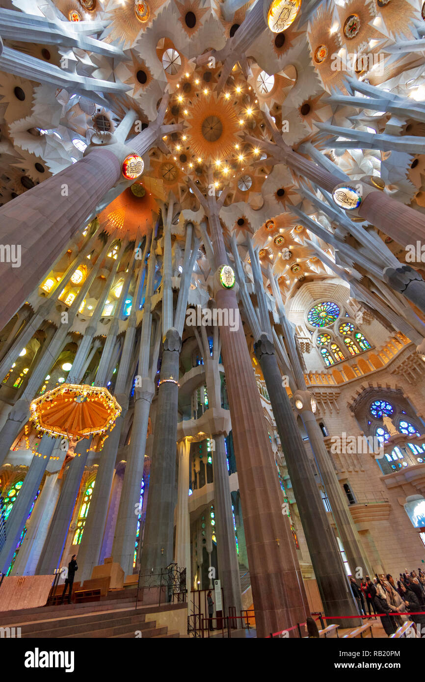 Innenansicht, Deckengewölbe Sagrada Familia, Barcelona, Spanien Stockfoto