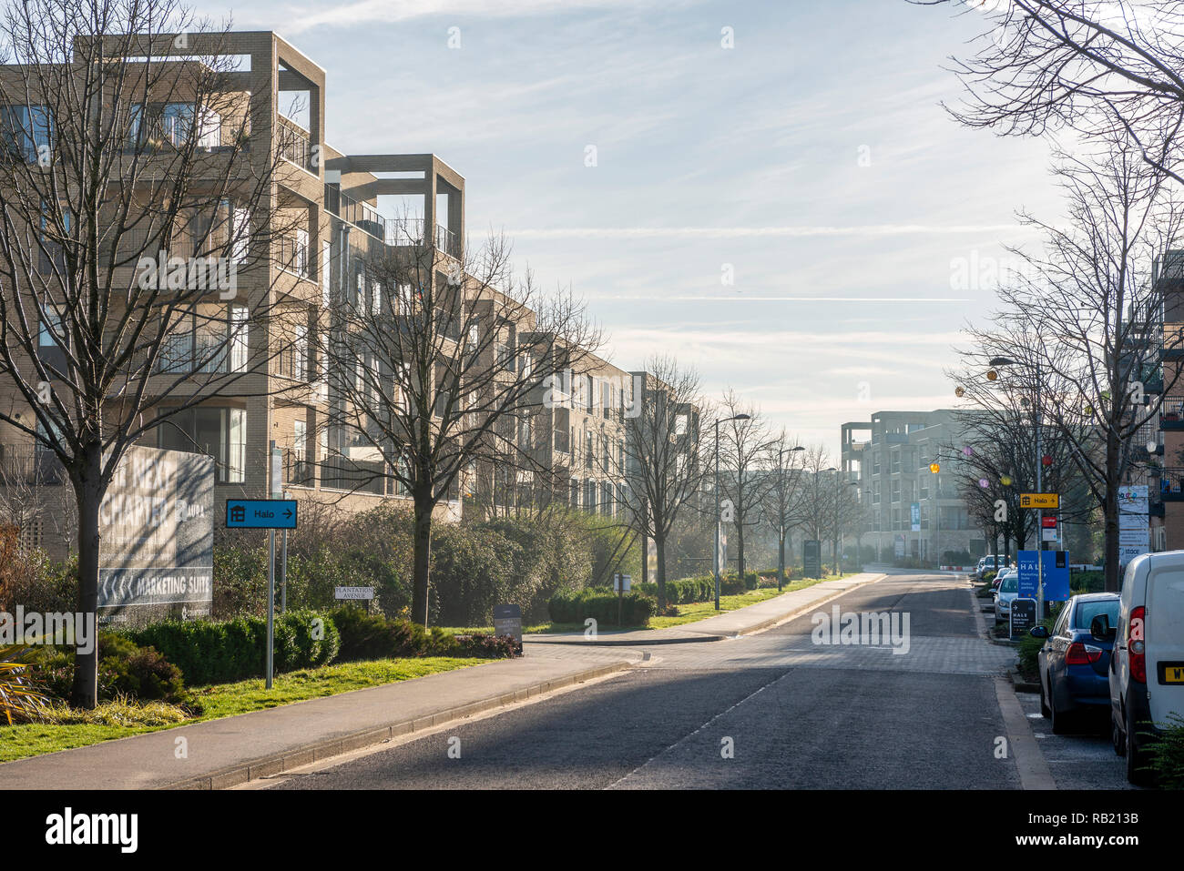 Modernes Wohnen in der Aura Entwicklung am Stadtrand von Cambridge, Großbritannien Stockfoto