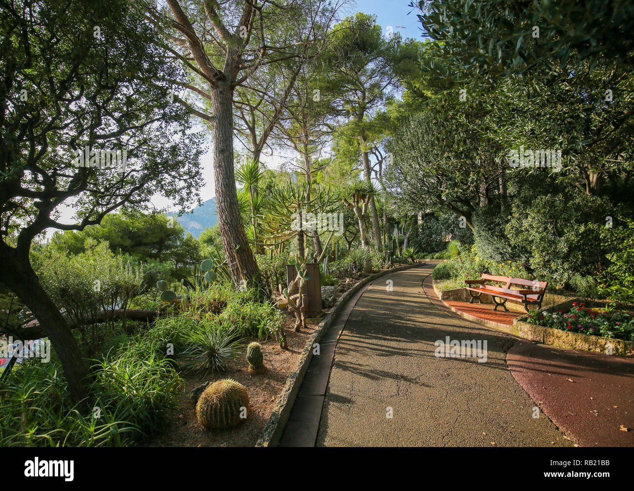 Bank in der schönen St Martins Garten mit Blick auf den Rocher in Monaco-Ville, Monaco Stockfoto