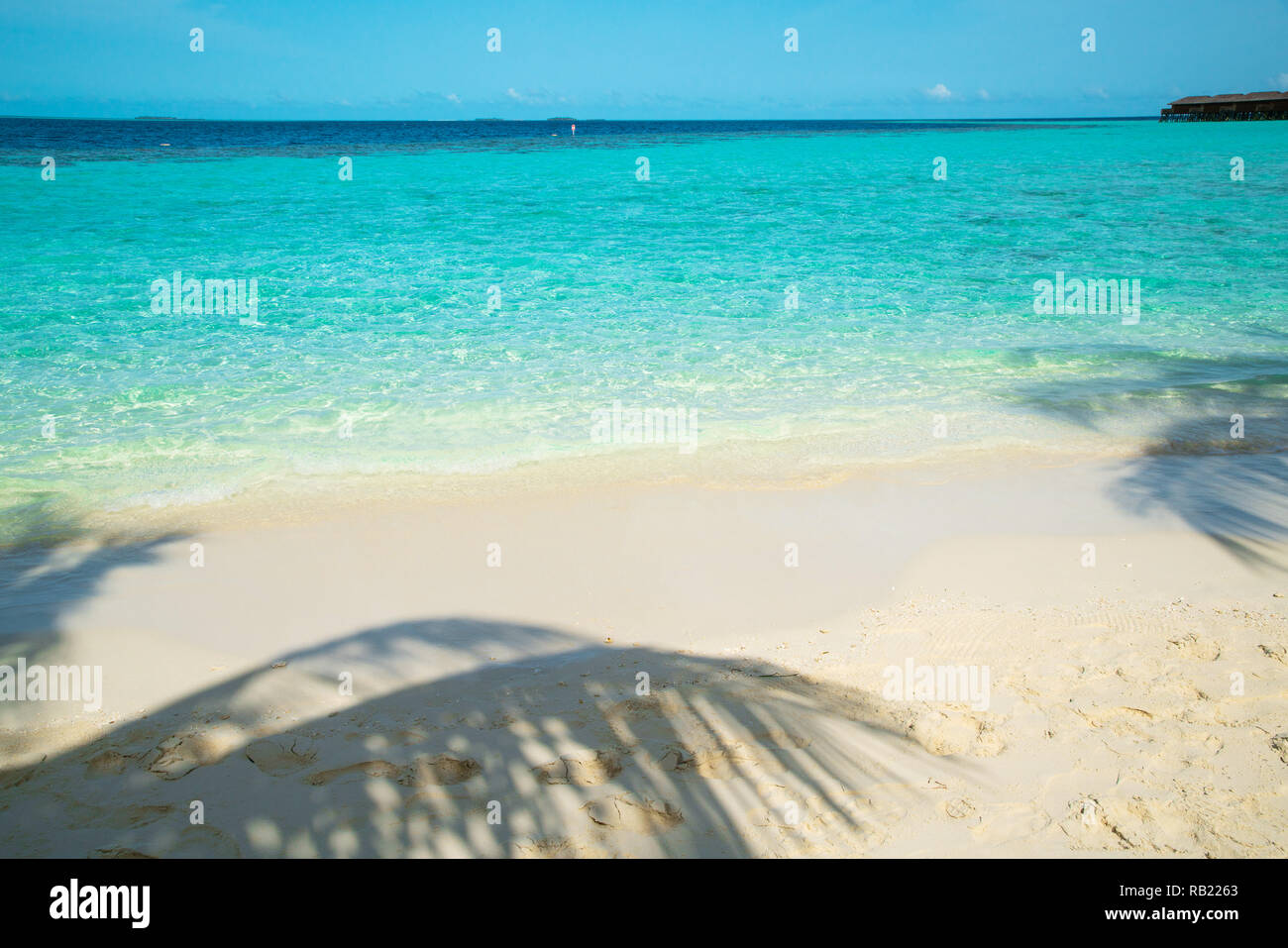 Welle der tropischen Meer Strand auf weißem Sand mit Coconut leaf Schatten. Stockfoto