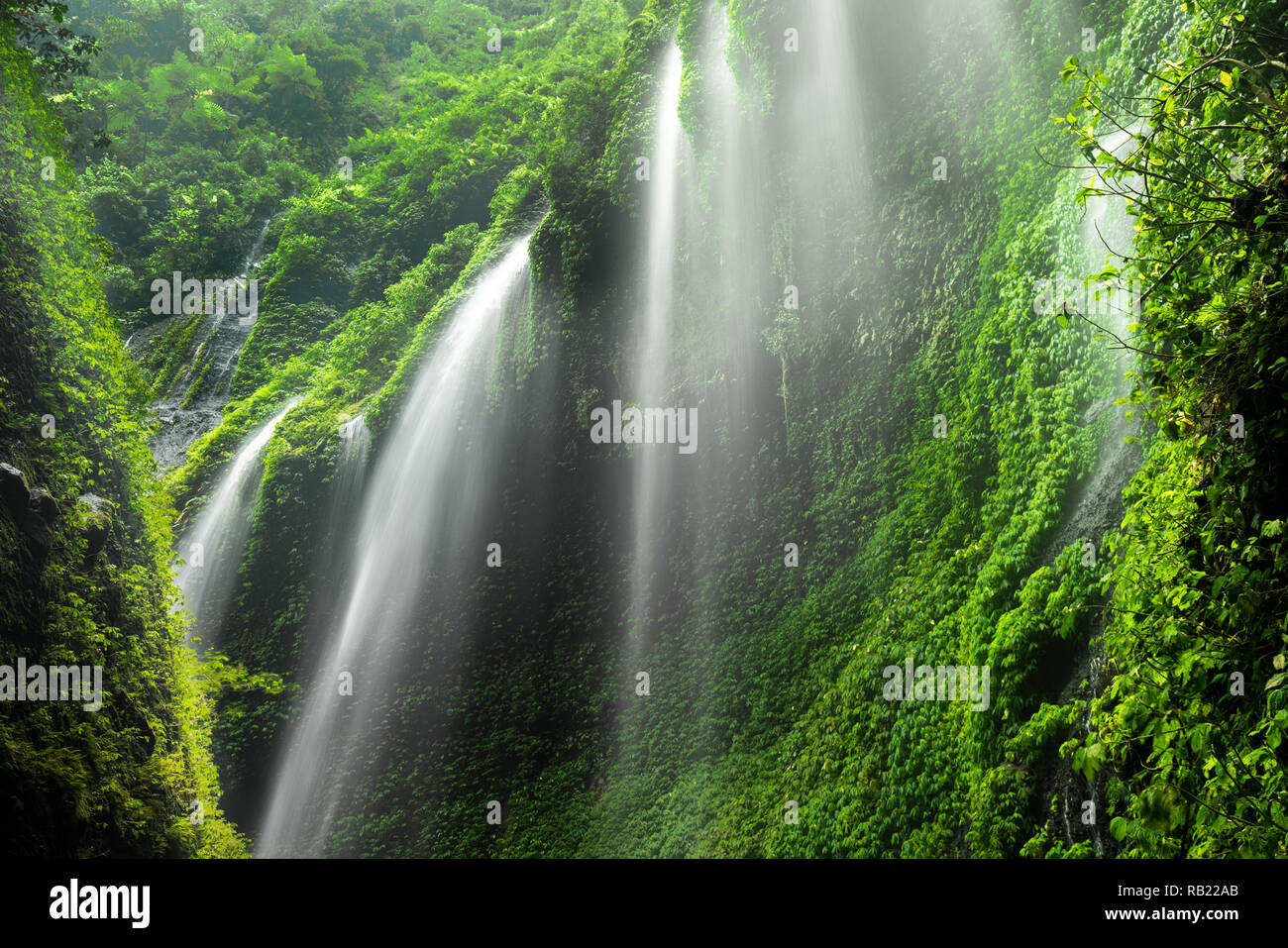 Madakaripura Wasserfall in der Natur statt, Ost Java, Indosesia Stockfoto