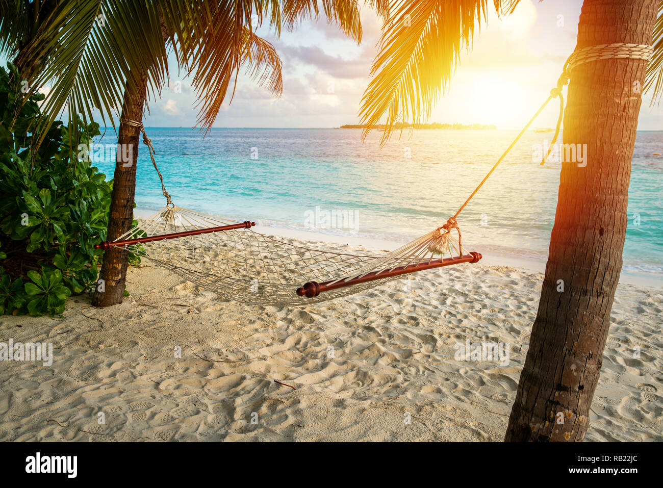 Hängematte auf eine Palme und Sonnenuntergang Blendung in der Nähe von Sea Ocean Sky Ufer Sand Stockfoto