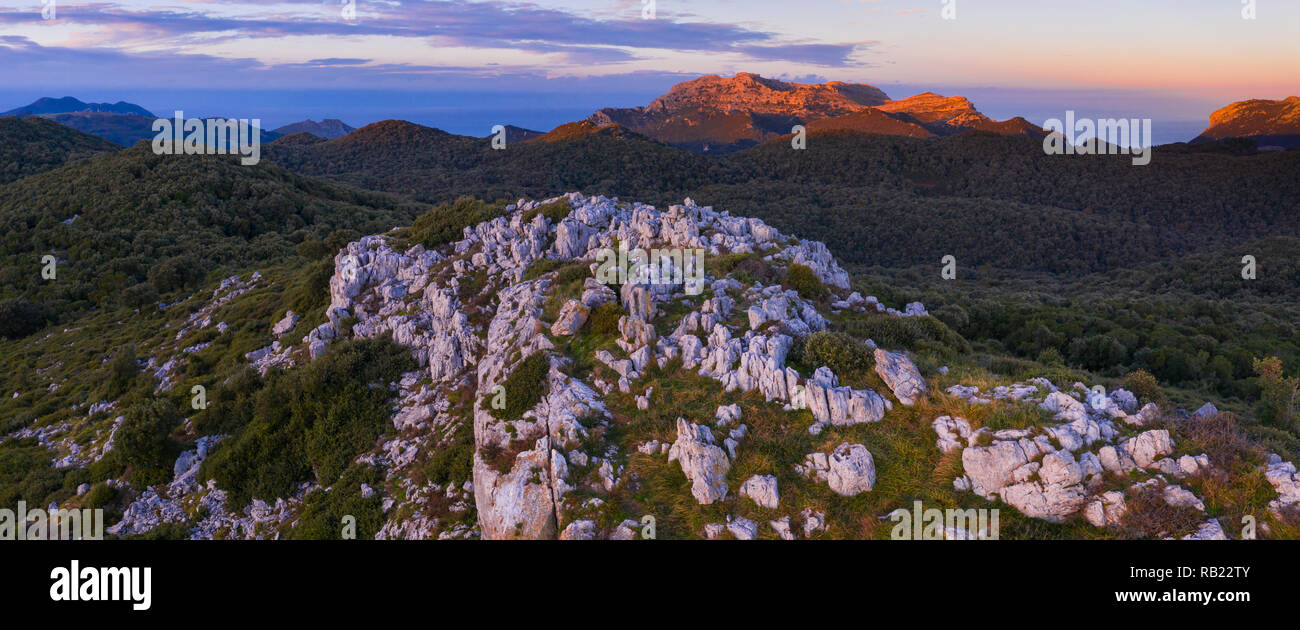 Steineiche Wald, Liendo, Liendo Tal, Montaña orientalische Costera, Biscaya, Kantabrien, Spanien, Europa Stockfoto