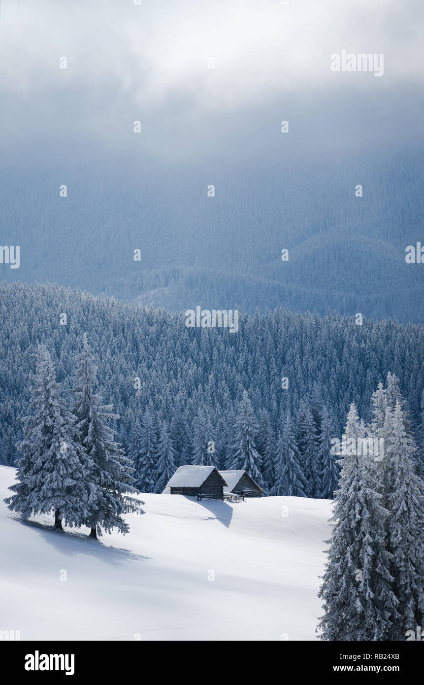 Winterlandschaft mit einem fabelhaften Haus im verschneiten Wald. Karpaten, Ukraine, Europa Stockfoto