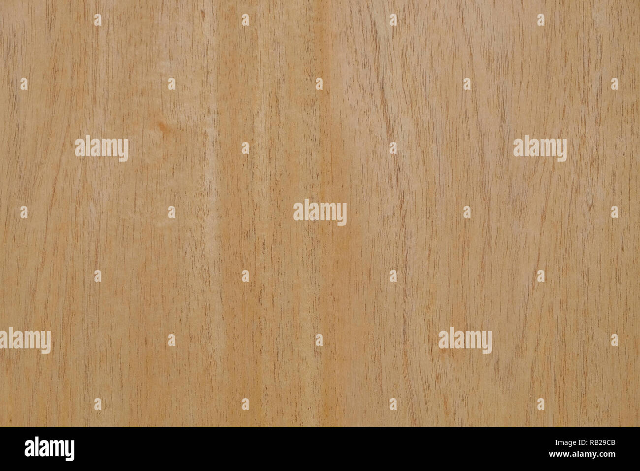 Close-up industriellen Furniere mit Detail Textur und Muster, Oberfläche der Verarbeitung Holz Hintergrund Stockfoto