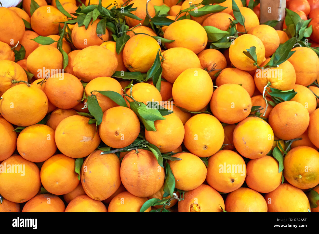 Frische reife Clementinen mit grünen Blättern zum Verkauf am Markt Stockfoto
