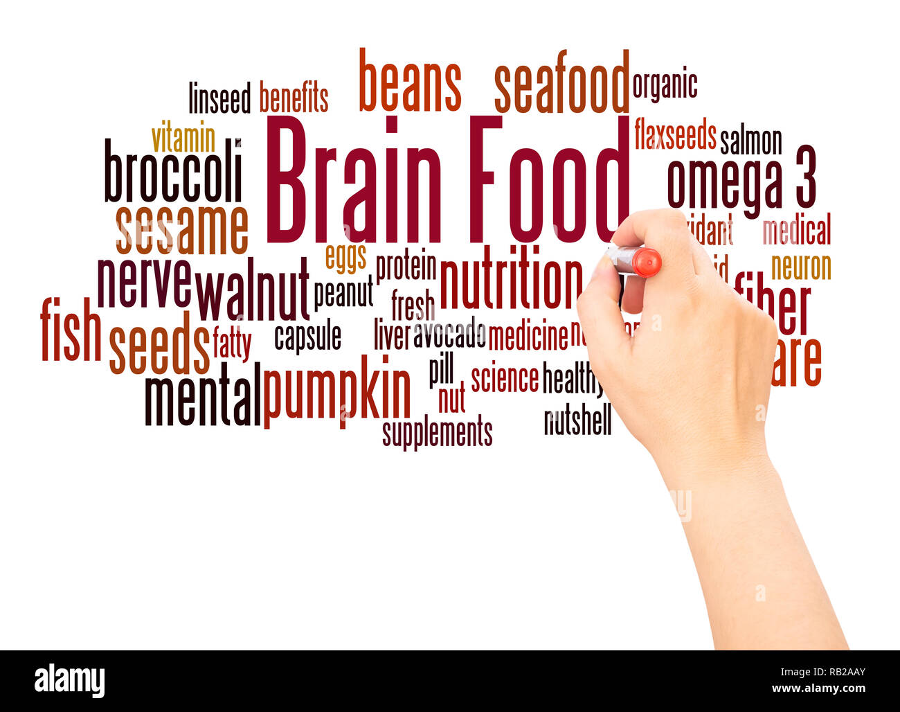 Brain Food, word Cloud hand Konzept Schrift auf weißen Hintergrund. Stockfoto