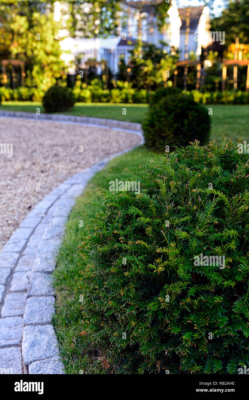 Stein Kanten, Ecken, Kanten, Rasen, Gesetze, Gras, Eibe ball, Bälle, garden Design, Funktion, Landschaftsgestaltung, Serpentin, Leitung, Führung, lenkt das Auge, RM Floral Stockfoto