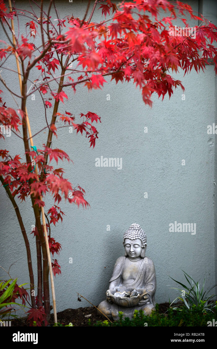 Acer Herbst Stockfotos und bilder Kaufen Alamy