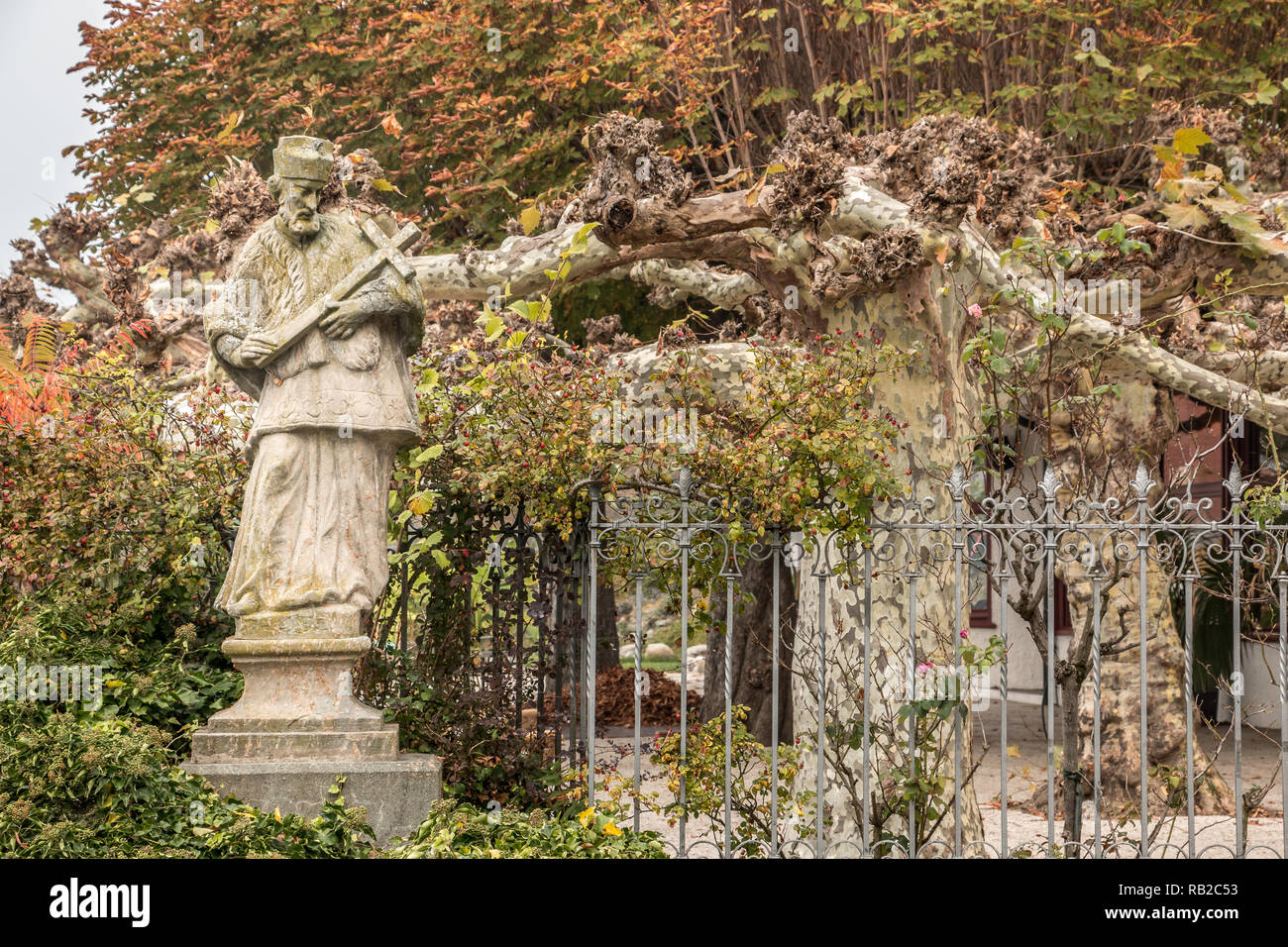 Steinerne Statue mit farbigen Blätter eines Baumes und Efeu Stockfoto