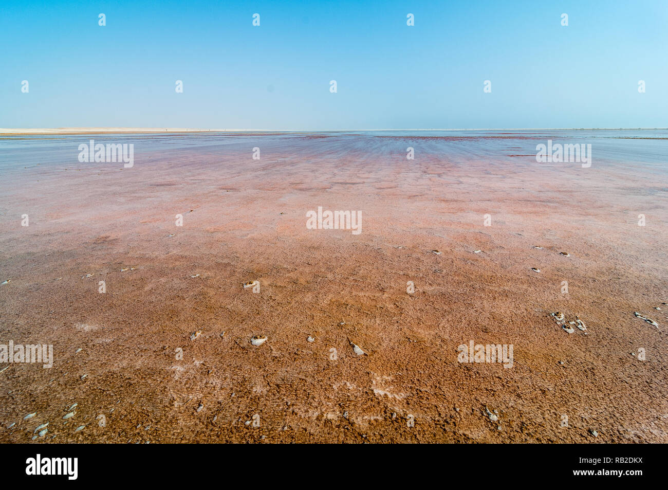Salzpfanne, Salz Verdunstung Teich, Skelettküste, Namibia