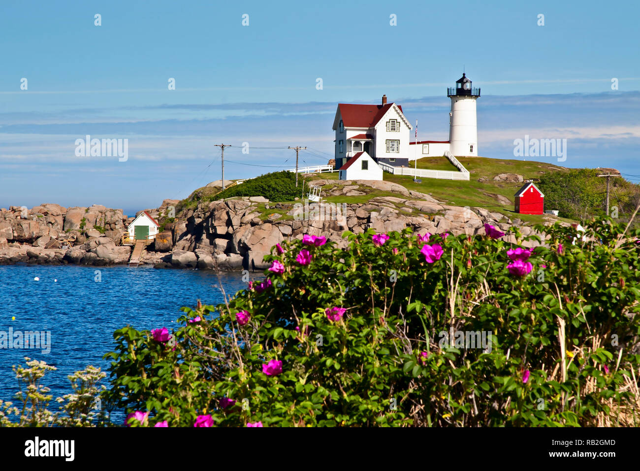 Sofort startbereit (Cape Neddick) Leuchtturm liegt ein paar hundert Meter vom Ufer entfernt mit Strand Rosen im Sommer in Maine. Die Rundumleuchte ist eine der m Stockfoto