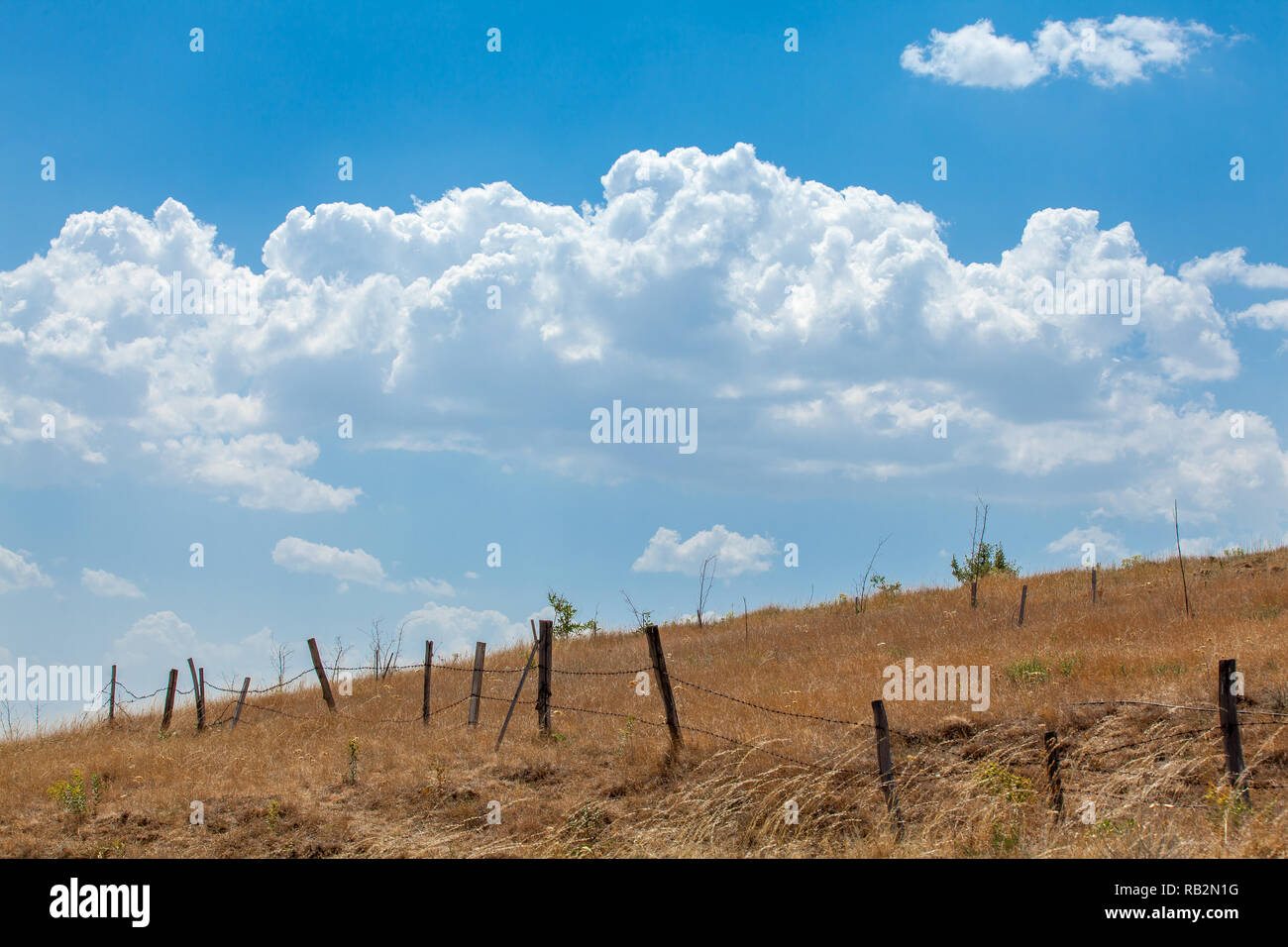 Stacheldraht Fenceline auf Bauernhof mit einem blauen Himmel Stockfoto