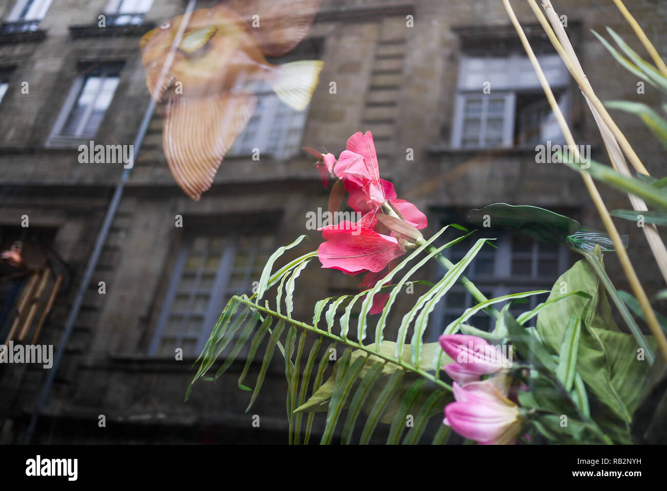 Reflexion in einem Schaufenster, Bordeaux, Gironde, Frankreich Stockfoto