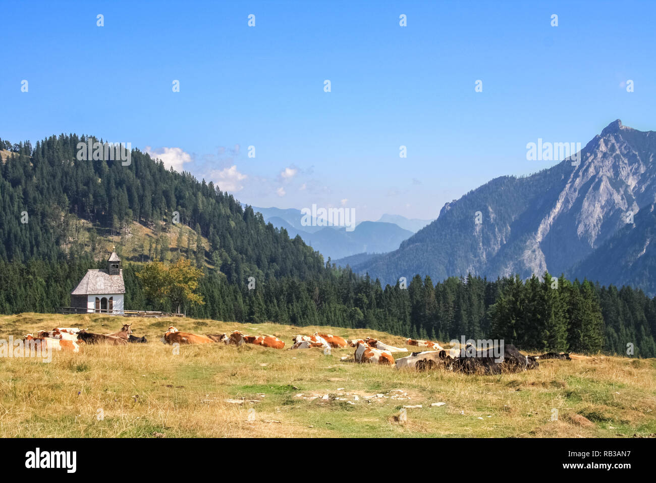 Berge, Alpen, Montafon, Österreich Stockfoto