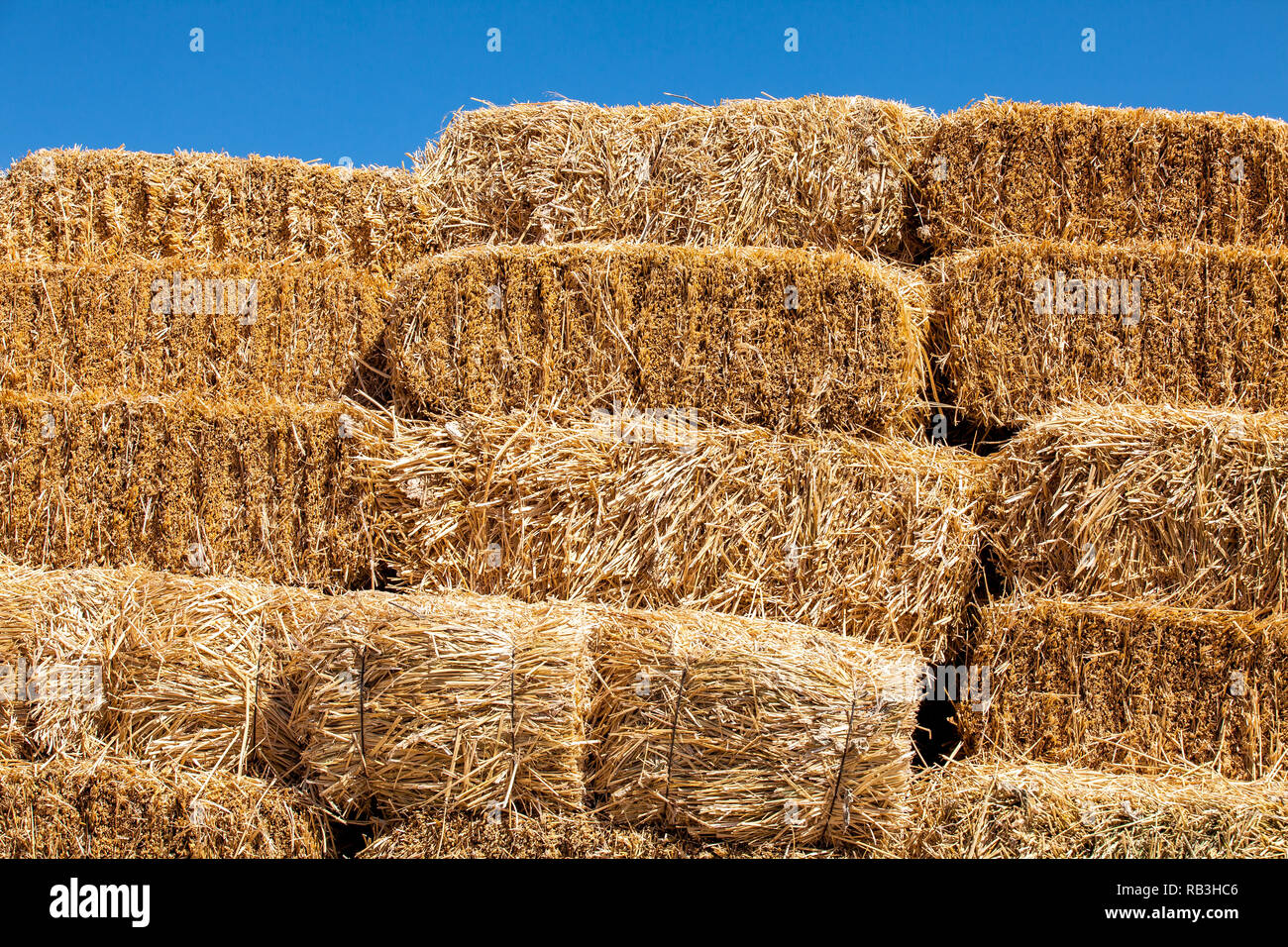 Quadratische heuballen -Fotos und -Bildmaterial in hoher Auflösung – Alamy